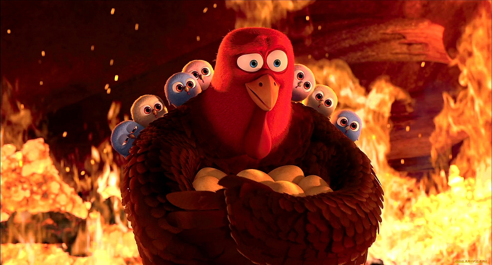 , free birds, , , , , , , 